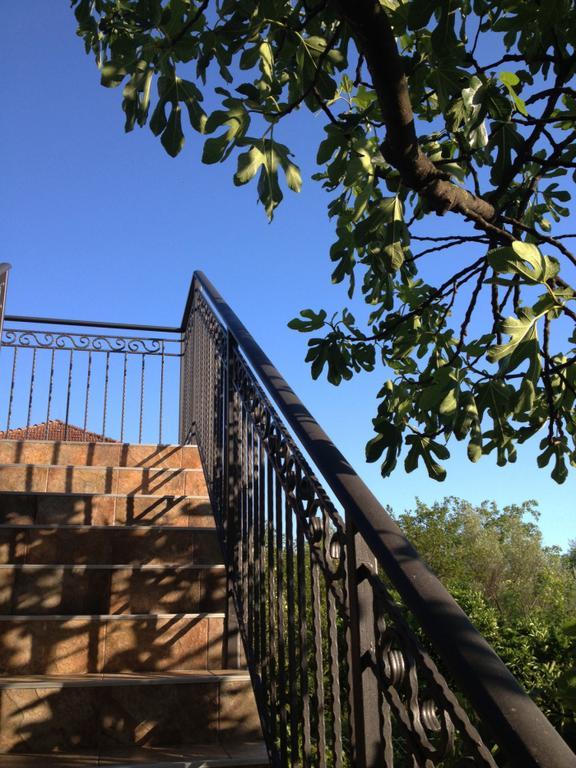 Apartmani Tivat Kaludjerovic Pokoj fotografie